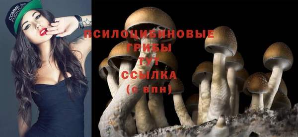СК Бугульма